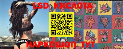 шишки Малоярославец