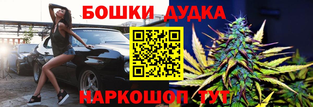 Конопля сатива Ишим